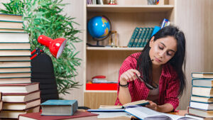 A Guide to Help You Prepare for the Government Exam