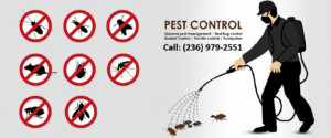 Pest Control Langley