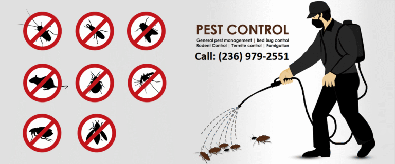 Pest Control Langley
