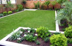 Amateur Guide to Garden Design: Design a great yard