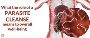 parasite cleanse