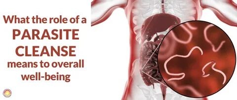 parasite cleanse