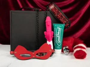 sex toy subscription boxes