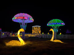 Statue of Unity Laser Show Ticket Price, Timings, and Booking Details 2025