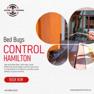 Pest Control Hamilton