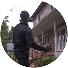 Pest Control Longueuil, Quebec, Canada