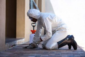 SG Pest Control offers professional Pest Control Gloucester Ontario services,