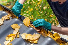 Gutter Cleaning Los Angeles