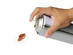 Bed Bug Control De Winton