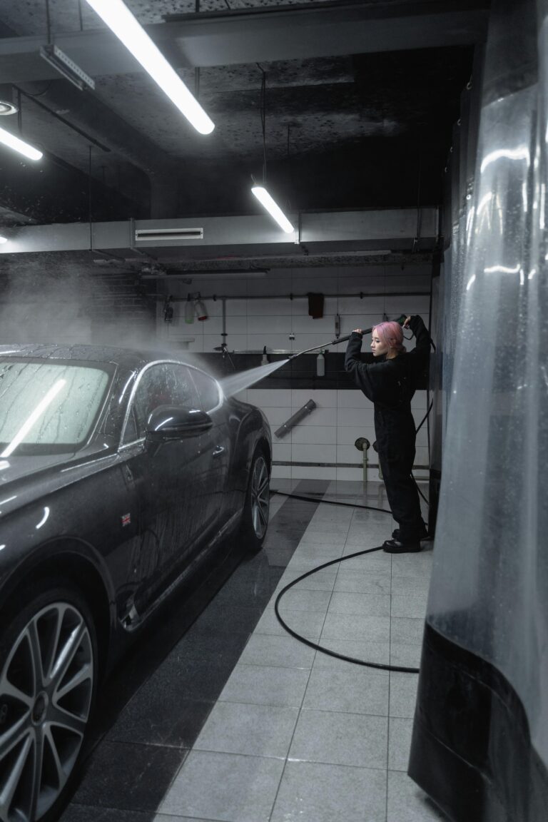 eco friendly car cleaning with gentle products