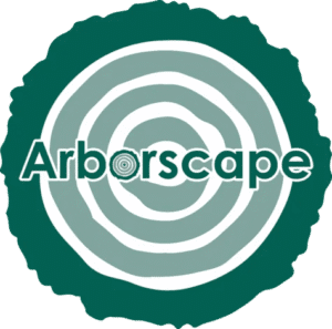 Tree Pruning Services Cumbria