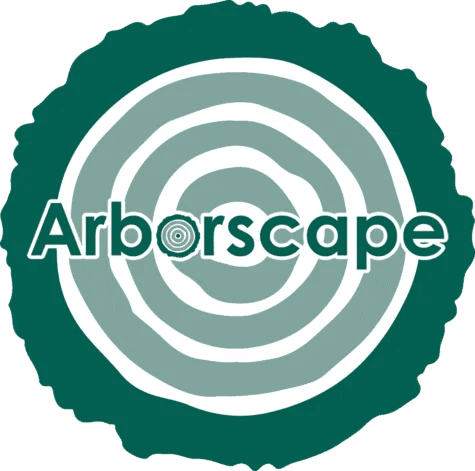 Tree Pruning Services Cumbria