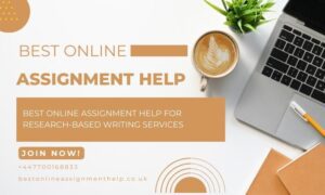 Best Online Assignment Help