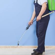 Inspection of pest control brampton