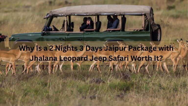 Why Is a 2 Nights 3 Days Jaipur Package with Jhalana Leopard Jeep Safari Worth It?