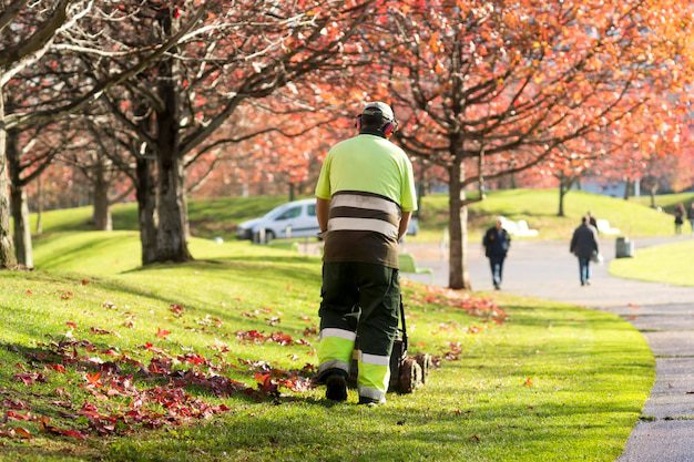 commercial landscape maintenance