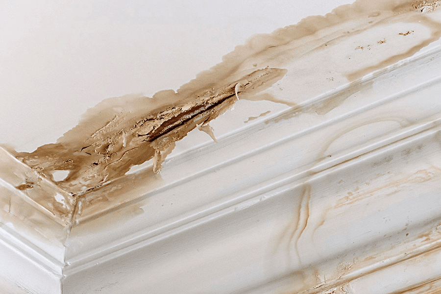 Water Leaks And Property Damage In Rental Homes Health Risks Photo Inspiration