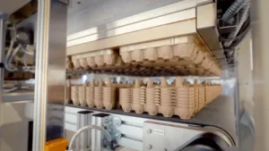pulp moulding machine