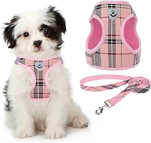 Puppy Harness And Leash Set