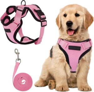 Puppy Harness And Leash Set