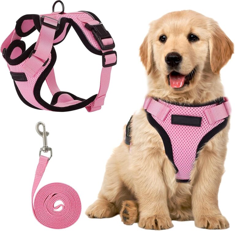 Puppy Harness And Leash Set