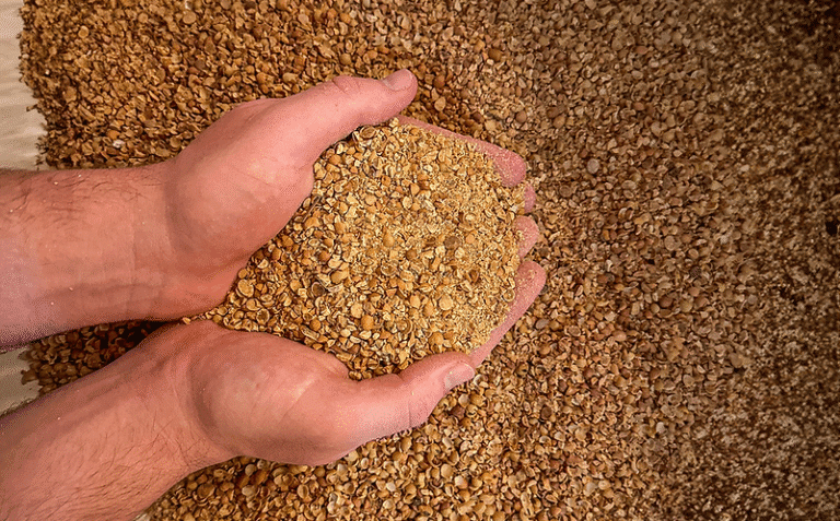 soybean meal suppliers