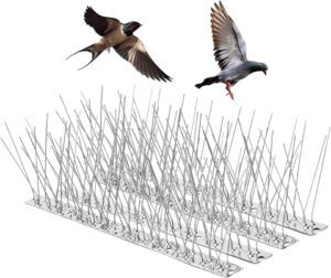 bird spikes