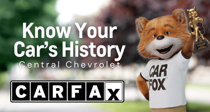 Carfax Report
