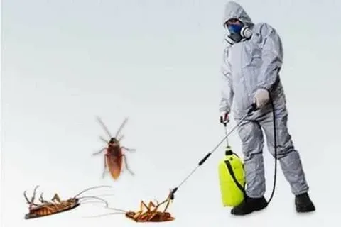 Cockroach Control