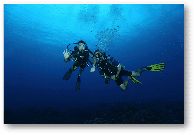 Two divers underwater, one waving and the other holding onto their equipment, both wearing diving gear and yellow fins